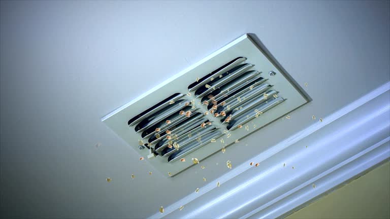 Best Air Duct Cleaning Near Me  in Apple Valley, MN