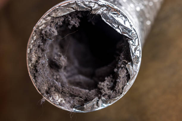 Best Affordable Air Duct Cleaning  in Apple Valley, MN