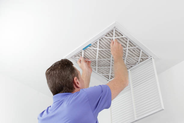 Best Dryer Vent Cleaning Services  in Apple Valley, MN